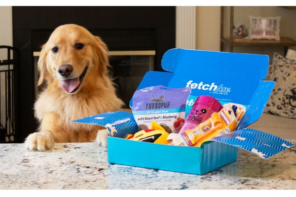 fetchbox1