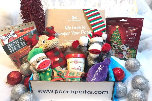 pooch-perks-monthly-dog-boxes-cool-dog-stuff