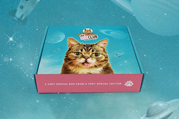 the-bub-club-sub-box