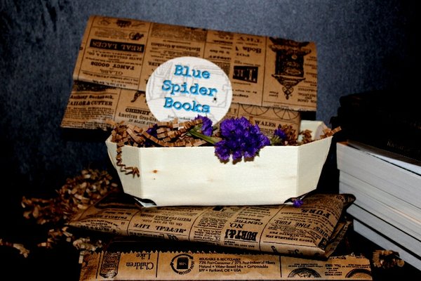 blue-spiders-attic