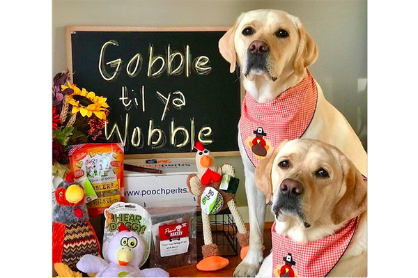 pooch-perks-monthly-dog-boxes-cool-dog-stuff