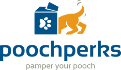 Pooch Perks Pamper Your Pooch