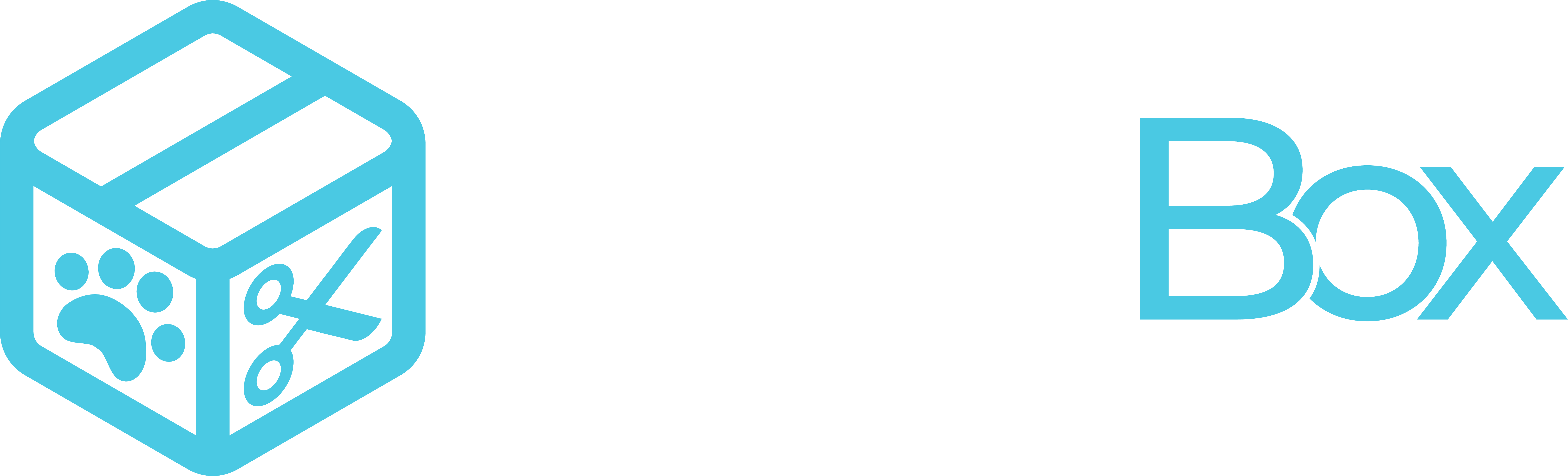 GroomBox Monthly Subscription Boxes for Dog Grooming Supplies