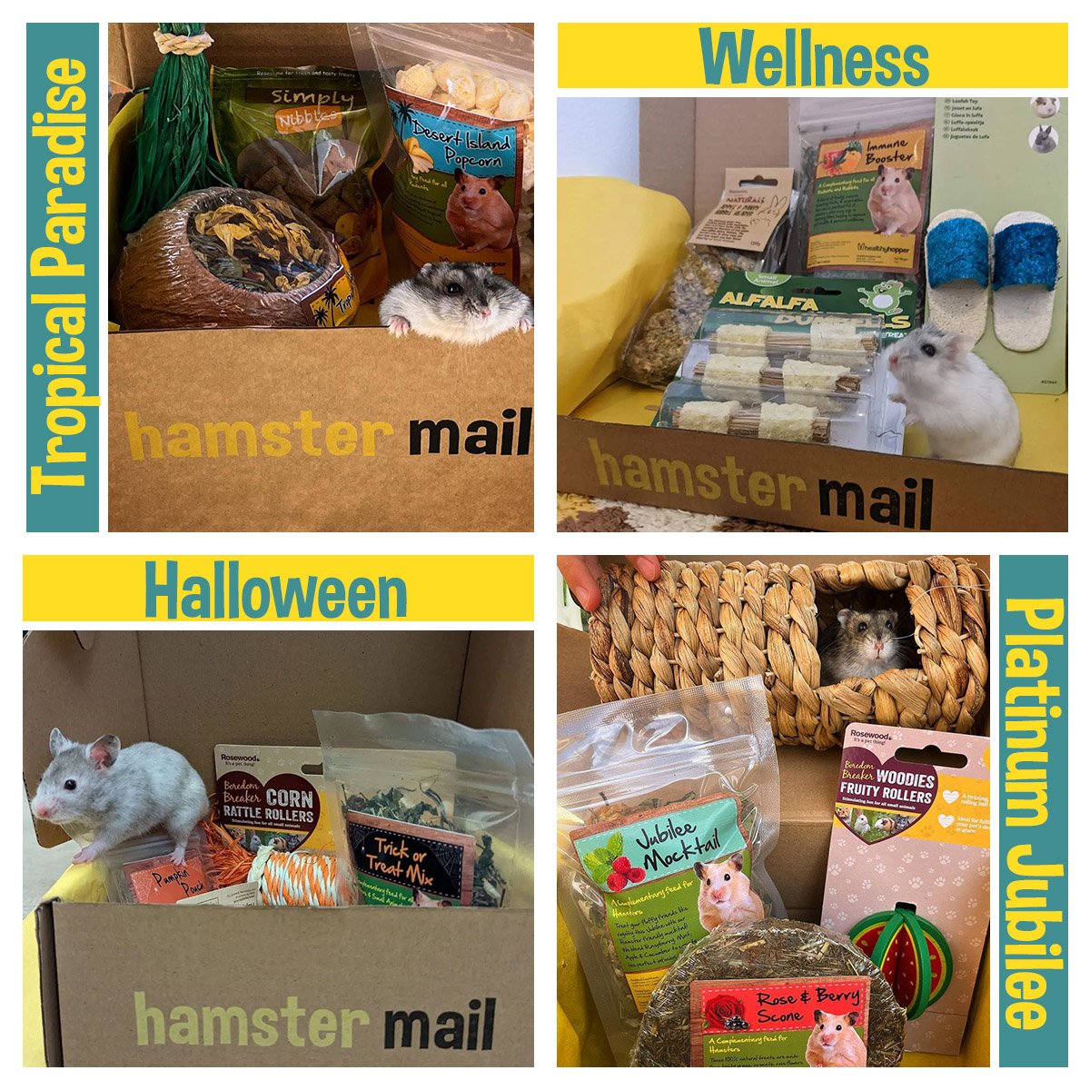 hamster box subscription