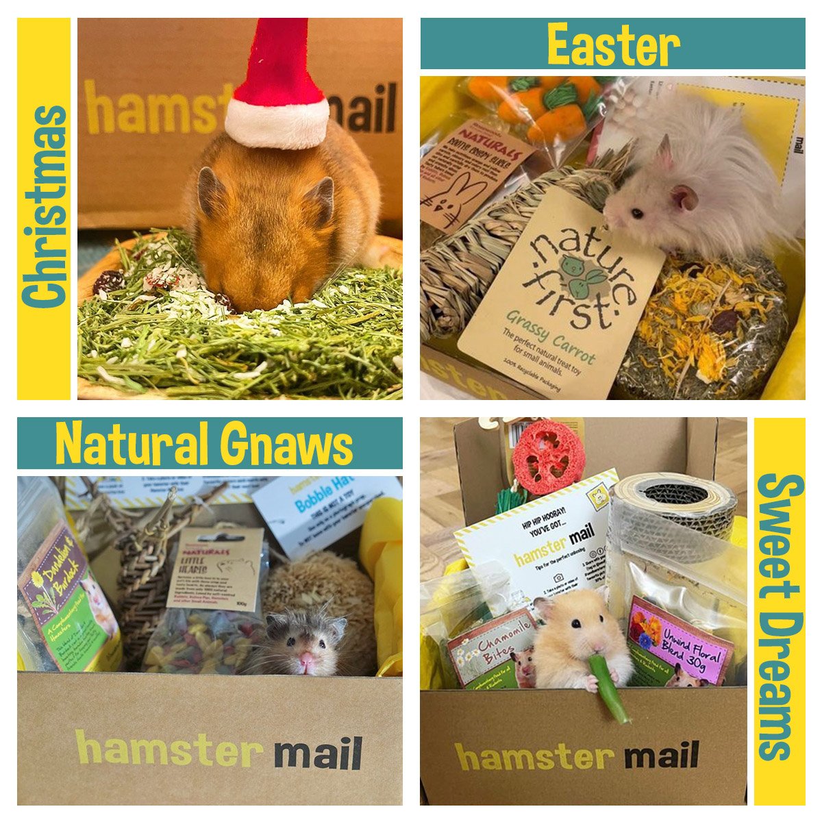 hamster box subscription