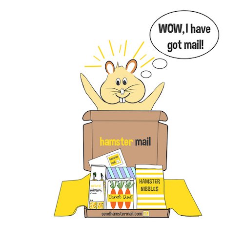 Hamster Mail Subscription Box | Subscription Box of Healthy Toys & Treats