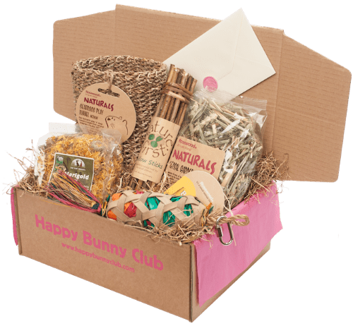 Cute Rabbit Subscribe Rabbit Subscription Box of Toys, Treats & Gifts | Happy Bunny Club