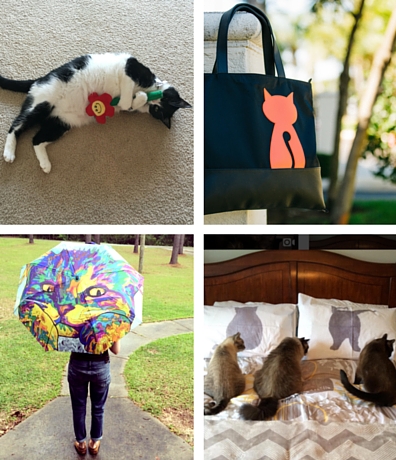 Catladybox How It Works Catladybox How It Works