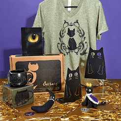 CatLadyBox Monthly subscription box for cat ladies and their cats