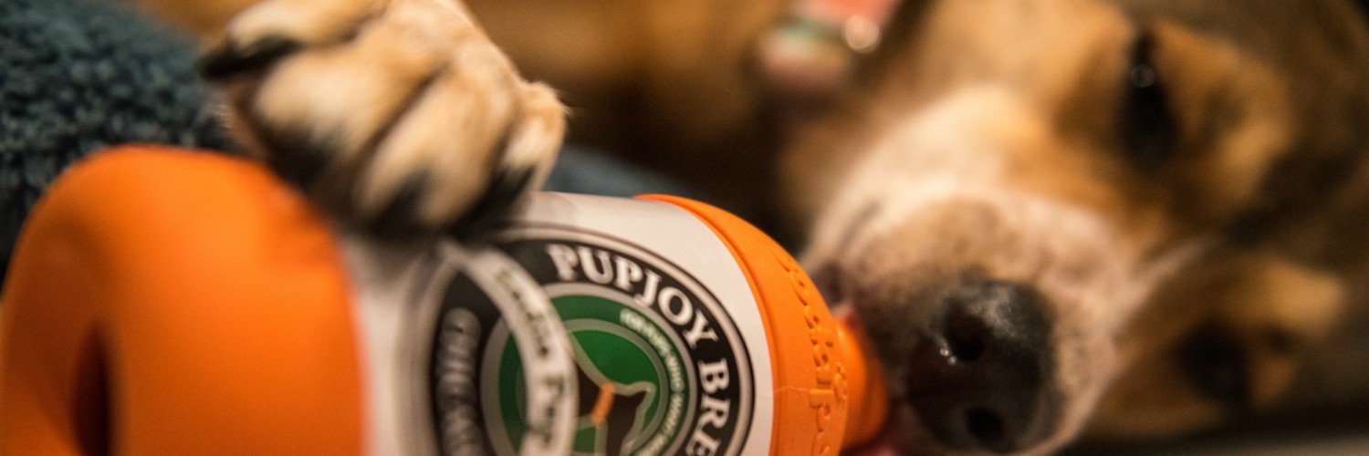 Dog Subscription Boxes