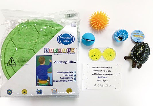 Sensory TheraPlay Box | Sensory Box Subscription to Help Children Focus and Self Regulate Sensory TheraPlay Box | Sensory Box Subscription to Help Children Focus and Self Regulate