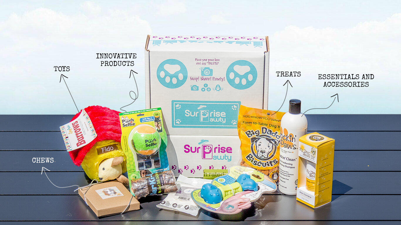 dog surprise box