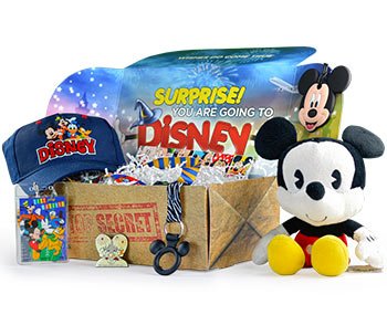 Best Disney Monthly Subscription Boxes & Gift Boxes - Walt Life