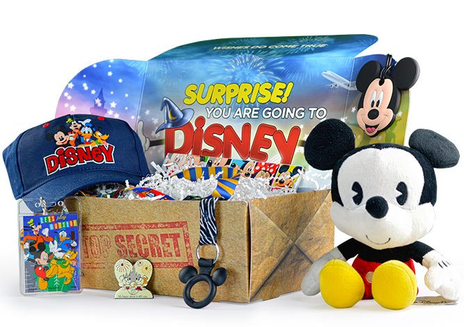 Walt Life | Disney Subscription Box - Surprise-Box