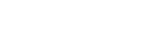 Why and Whale logo